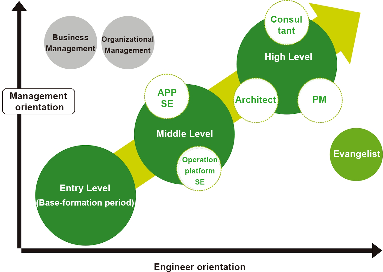 Career Path