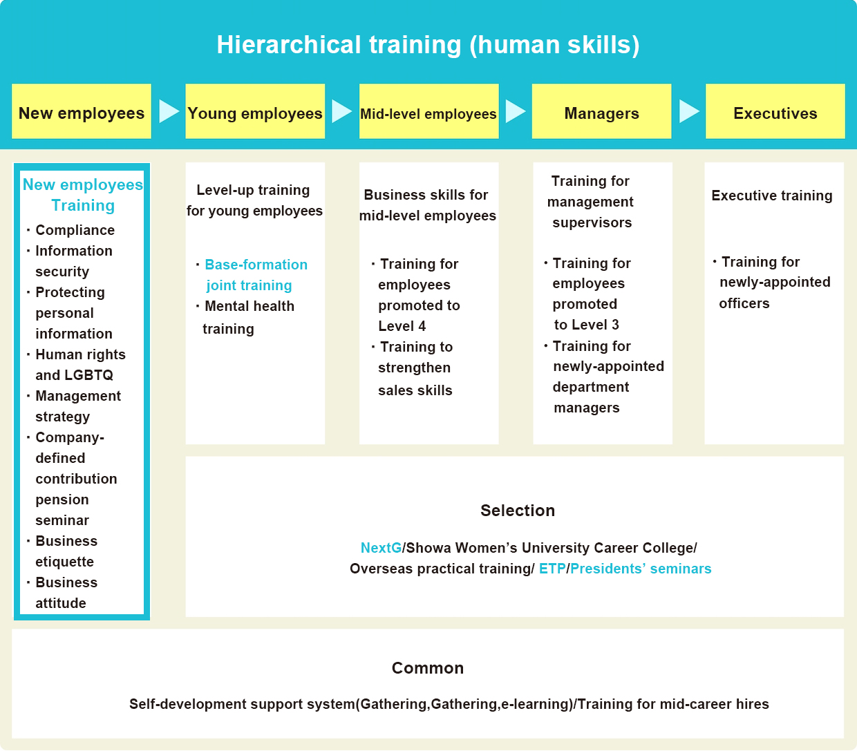 Hierarchical training (human skills)