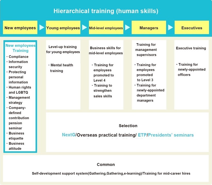 Hierarchical training (human skills)
